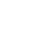 Instagram Button